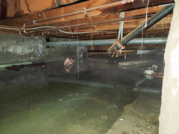 East Lake Orient Park, FL Water damage restoration Company