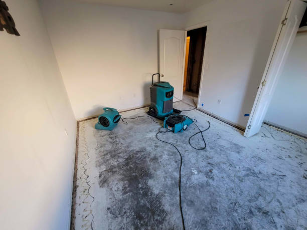  East Lake Orient Park, FL Water damage restoration Pros
