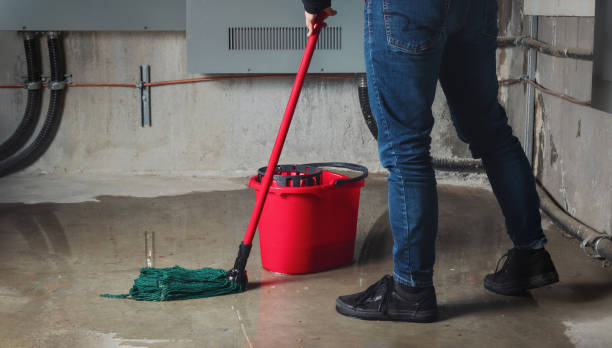 Best 24/7 water damage repair  in East Lake Orient Park, FL