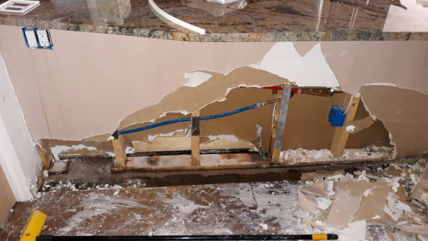 Best Commercial water damage restoration  in East Lake Orient Park, FL