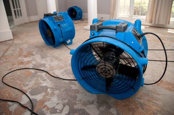 Best Flood restoration services  in East Lake Orient Park, FL