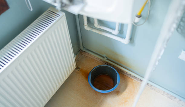 Best Mold removal after water damage  in East Lake Orient Park, FL