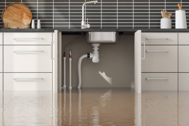 Best Emergency water damage restoration  in East Lake Orient Park, FL